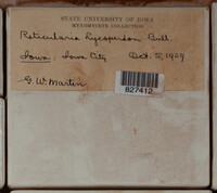Image Associated With the Occurence